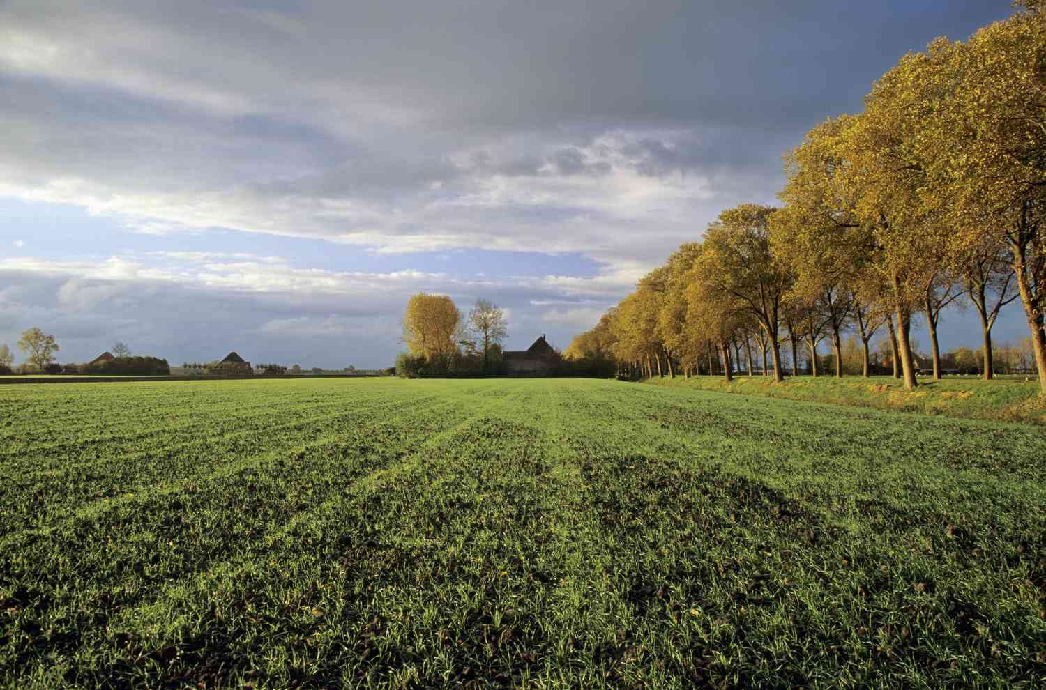 getty-large-farm-landscape-56c0a6aa5f9b5829f867287c.jpg