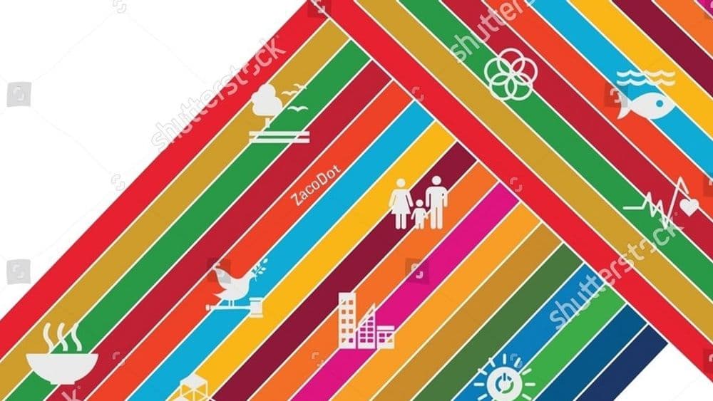 stock-vector-sustainable-development-goals-sdgs-2222242353.jpg